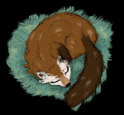 Maple Sleeping Maple Sleeping