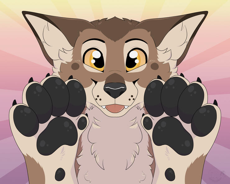 Paws Up!