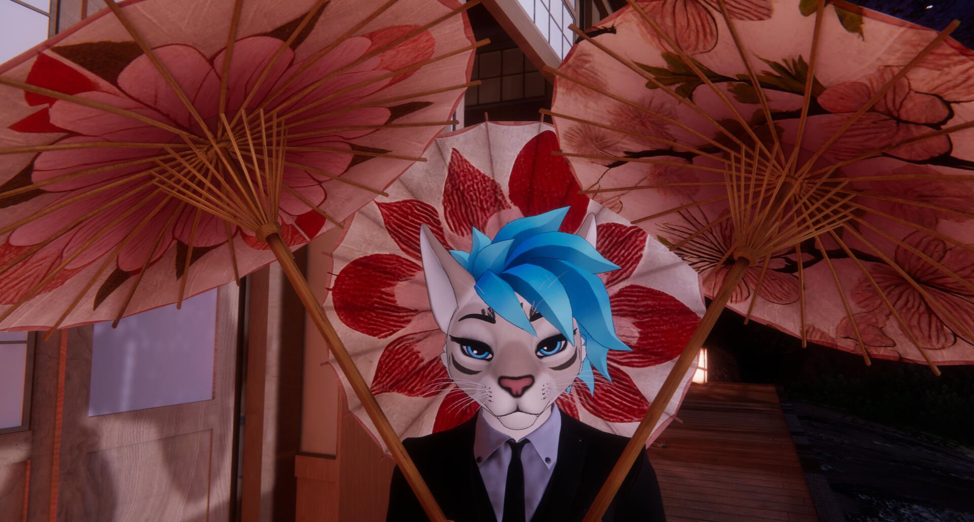 Umbrellas Photo by Cerulean